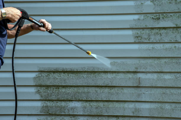 Best Residential Pressure Washing Services  in Rochelle, GA