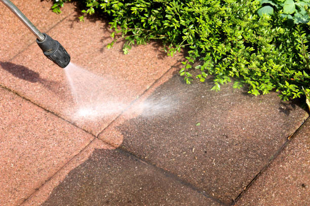 Best Pressure Washing Near Me  in Rochelle, GA